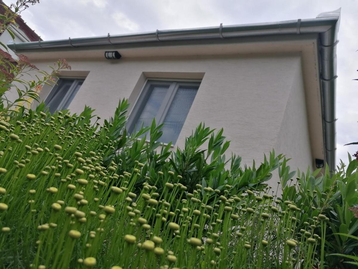 Levelke Mini Apartman Gárdony Eksteriør billede